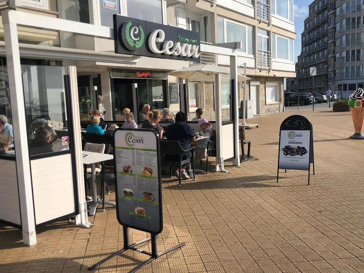 Daire Villa D&G Oostende Belçika